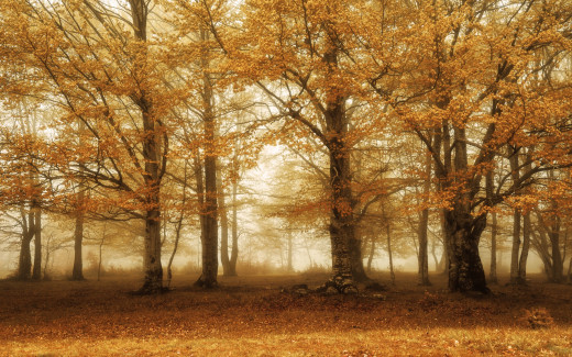 1174257 (a): :2880x1800
